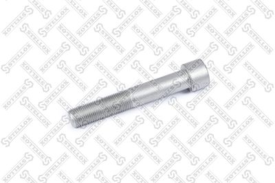 Болт M16*1,5*100 направляющей суппорта BPW TSB3709/MAN 8900619SX