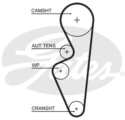 Ремень ГРМ 113*17 Lada Granta/Priora/Kalina 1.6 11> 5670XS